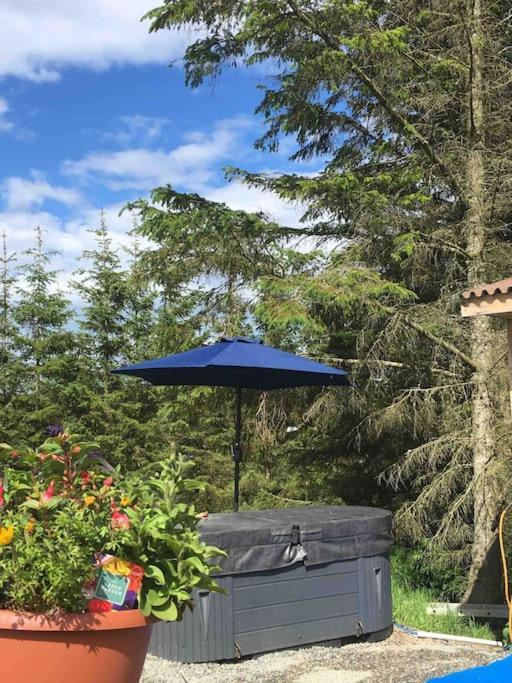 Bankhead Accommodation With Hot Tub Aberdeenshire Gamrie Eksteriør billede